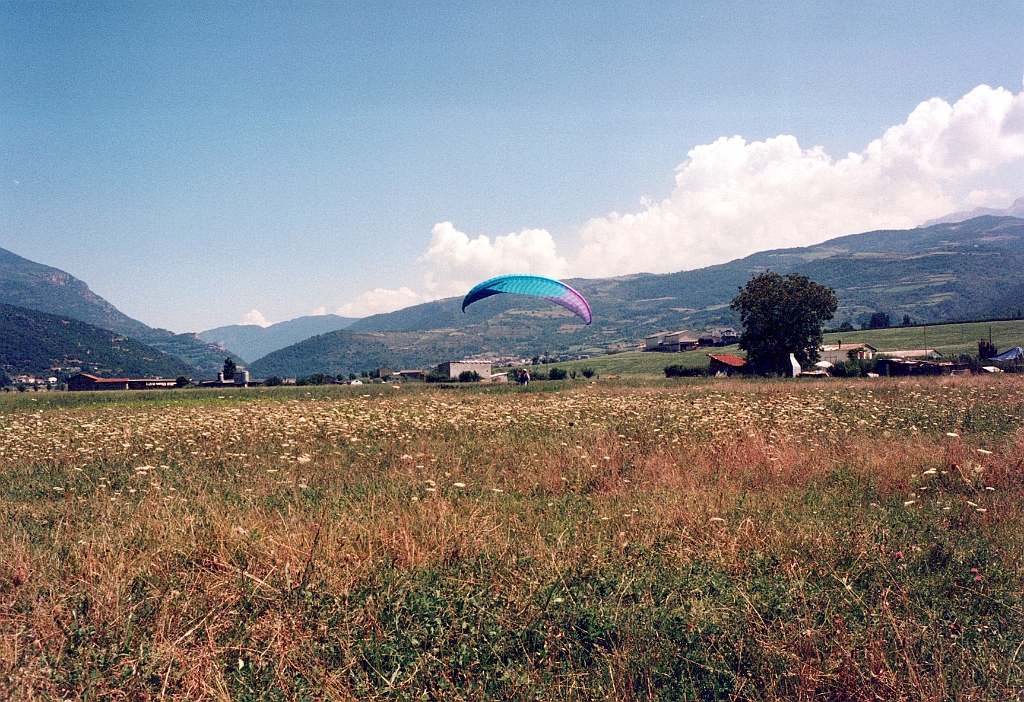 1996 - Organya 16 (Seu d'Urgell).jpg
